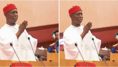 Ned Nwoko proposes ranches in all 774 LGs
