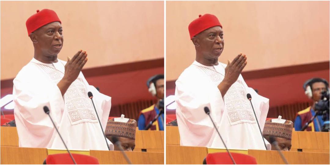 Ned Nwoko proposes ranches in all 774 LGs