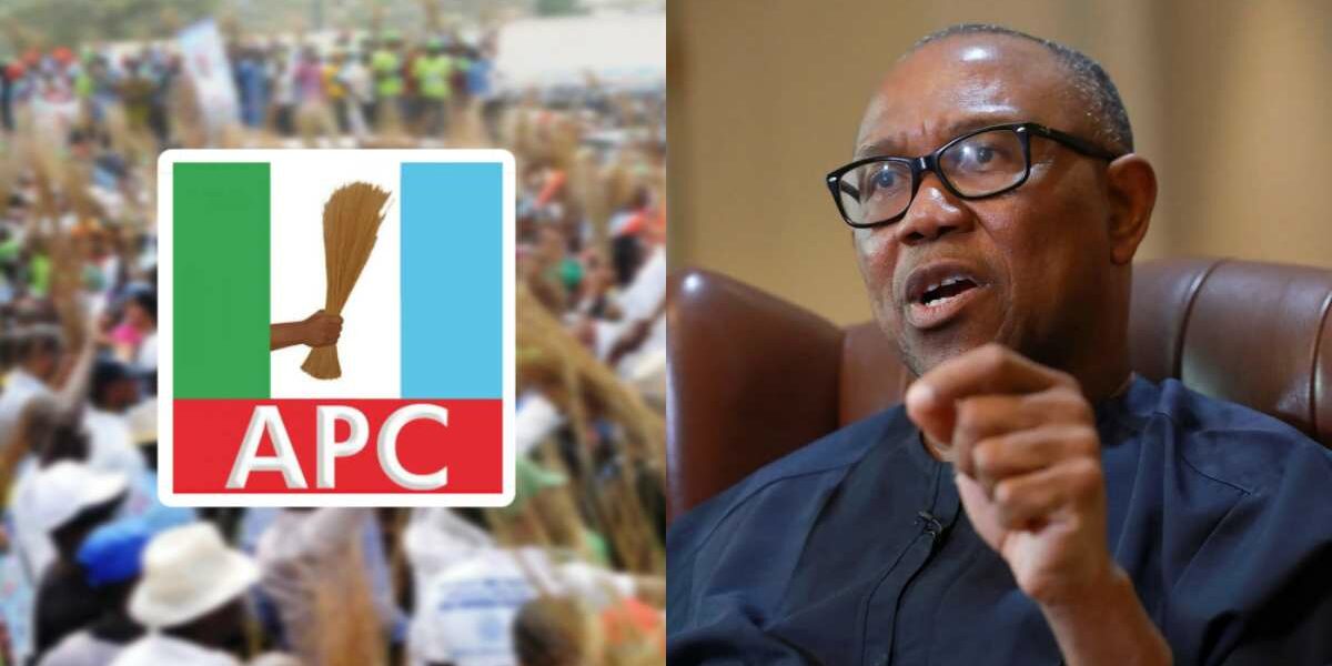 Labour Party fractured, Obidient movement fading out — APC mocks Obi
