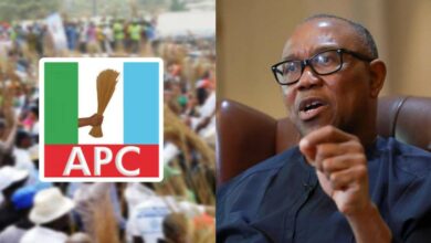 Labour Party fractured, Obidient movement fading out — APC mocks Obi