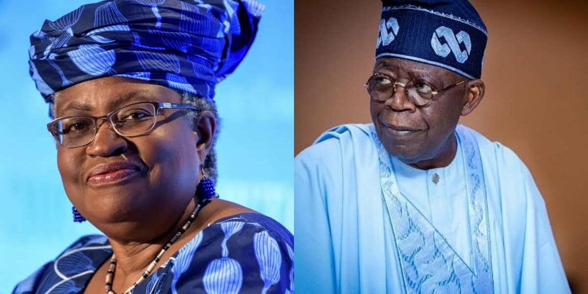 Okonjo-Iweala commends Tinubu for stabilizing Nigeria's economy