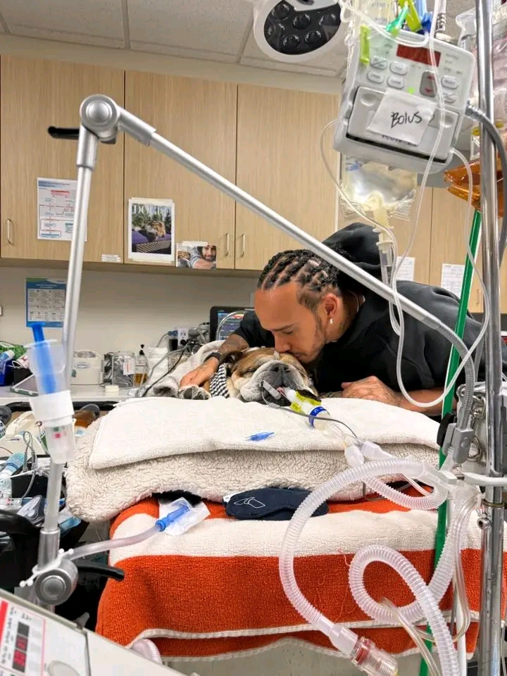 Lewis Hamilton and Roscoe