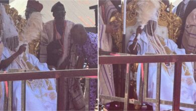 JUST IN: Rashidi Ladoja officially crowned 44th Olubadan