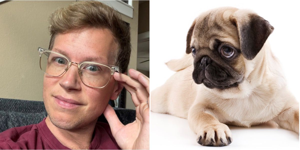 Man shocked as friend asks him to watch over her dog after she’s raptured