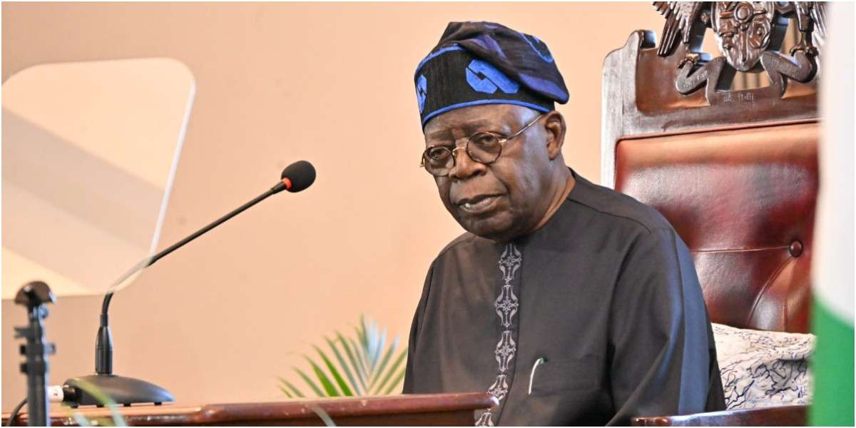 Northern elders warn Tinubu against state police creation, says it would only harm the nation more