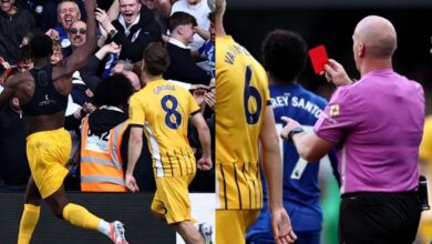 Brighton 3-1 Chelsea: Welbeck double seals comeback win go Seagulls