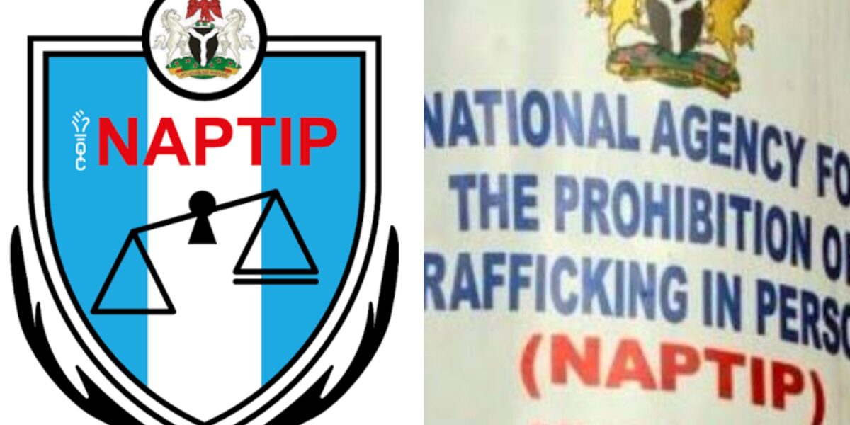 Eight stolen children finally reunited with families after NAPTIP raid