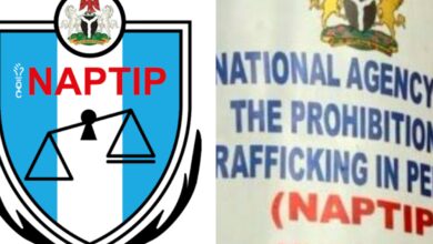 Eight stolen children finally reunited with families after NAPTIP raid