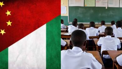 Chinese language included in senior secondary curriculum – Education secretary