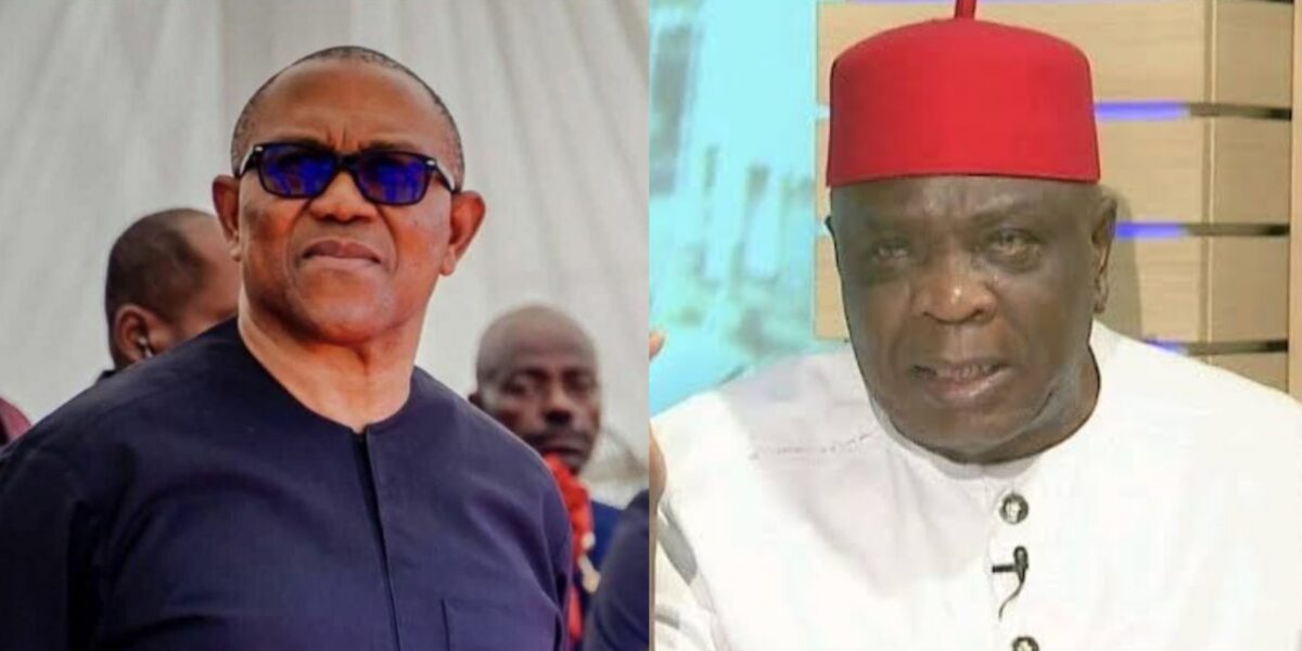 With Peter Obi, any party already has 40% votes in the bag – PDP Chieftain