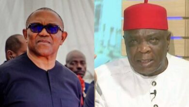With Peter Obi, any party already has 40% votes in the bag – PDP Chieftain