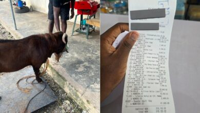 Man shares receipts after spending N316K on medications for goat