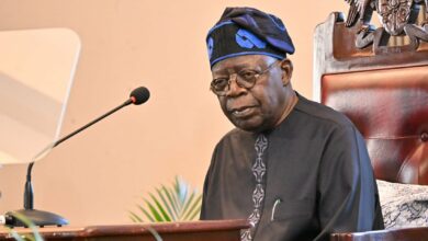 President Bola Tinubu has stated that his administration has delivered on the change agenda pledged to Nigerians by the All Progressives Congress (APC) a decade ago.