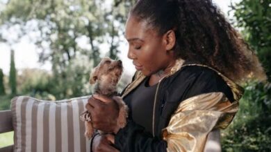 Athletes and Their Pets: From Yorkies to a Literal Lemur