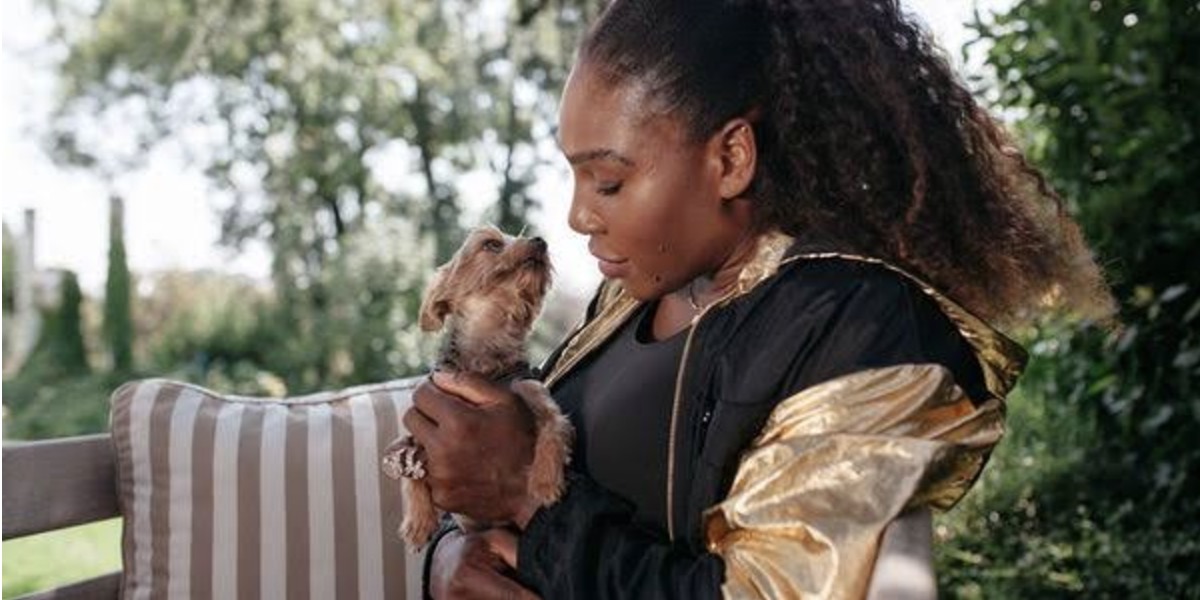 Athletes and Their Pets: From Yorkies to a Literal Lemur