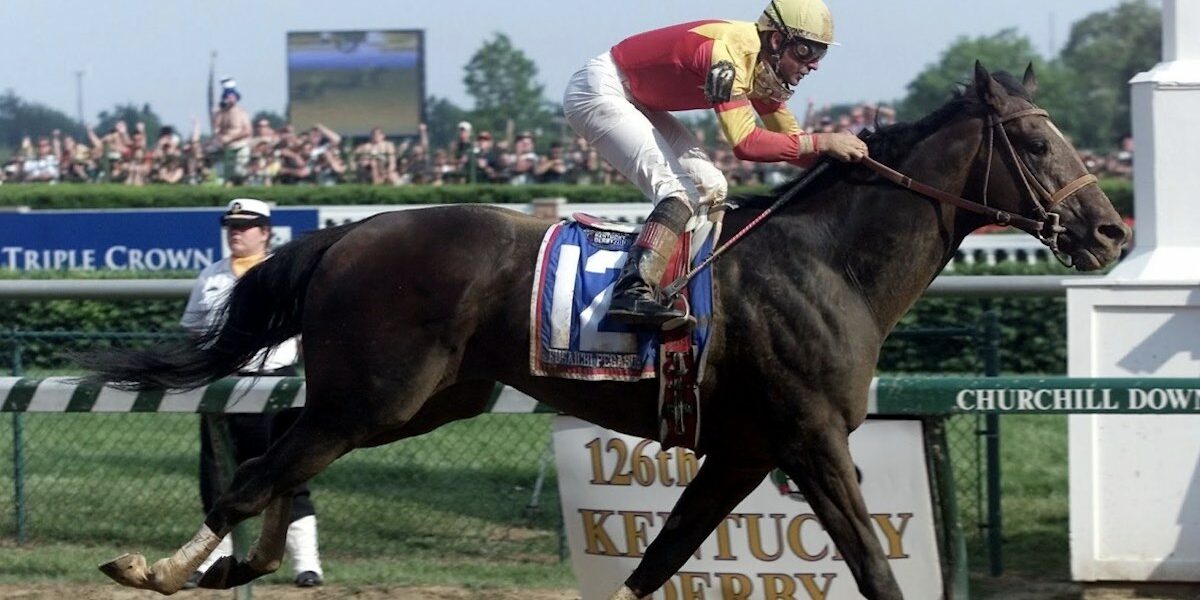 How Much Does It Really Cost to Raise a Racehorse