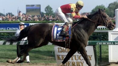 How Much Does It Really Cost to Raise a Racehorse