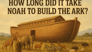 how long did it take noah to build the ark