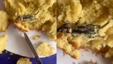 Woman shocked as she finds rat in cake baked to surprise children