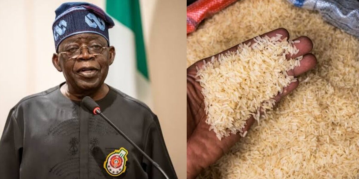 Outrage as APC supporters celebrate drop in rice prices