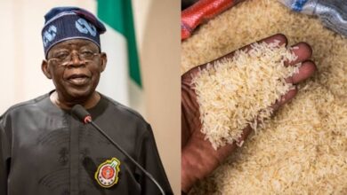Outrage as APC supporters celebrate drop in rice prices
