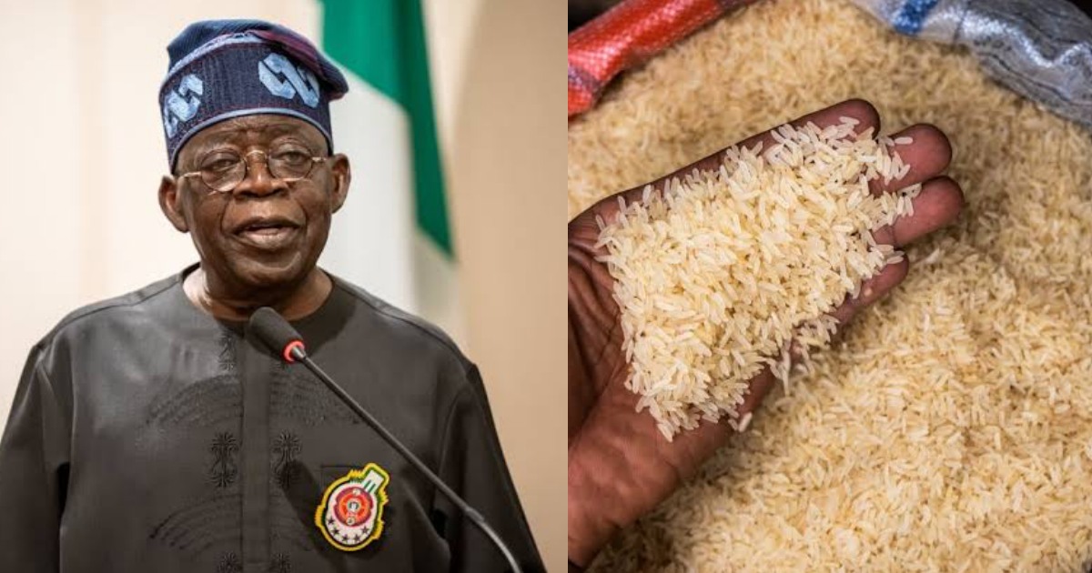 Outrage as APC supporters celebrate drop in rice prices