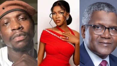 "Tinubu, Dangote Group failed Phyna’s late sister" — Verydarkman