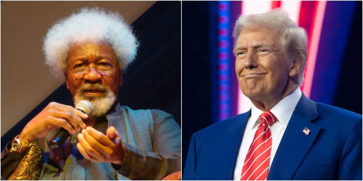 Wole Soyinka reacts as U.S. permanently revokes his visa
