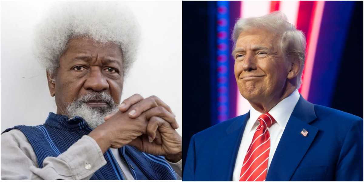 Wole Soyinka destroyed his US green card in 2016 over Trump’s victory