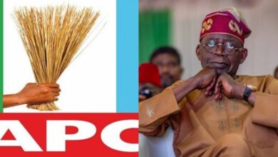 APC thrives on manipulation, brought in foreign Fulanis To Destroy Nigeria –Afenifere