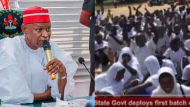 Kano Govt deploys 380 marshals to tackle rising phone theft