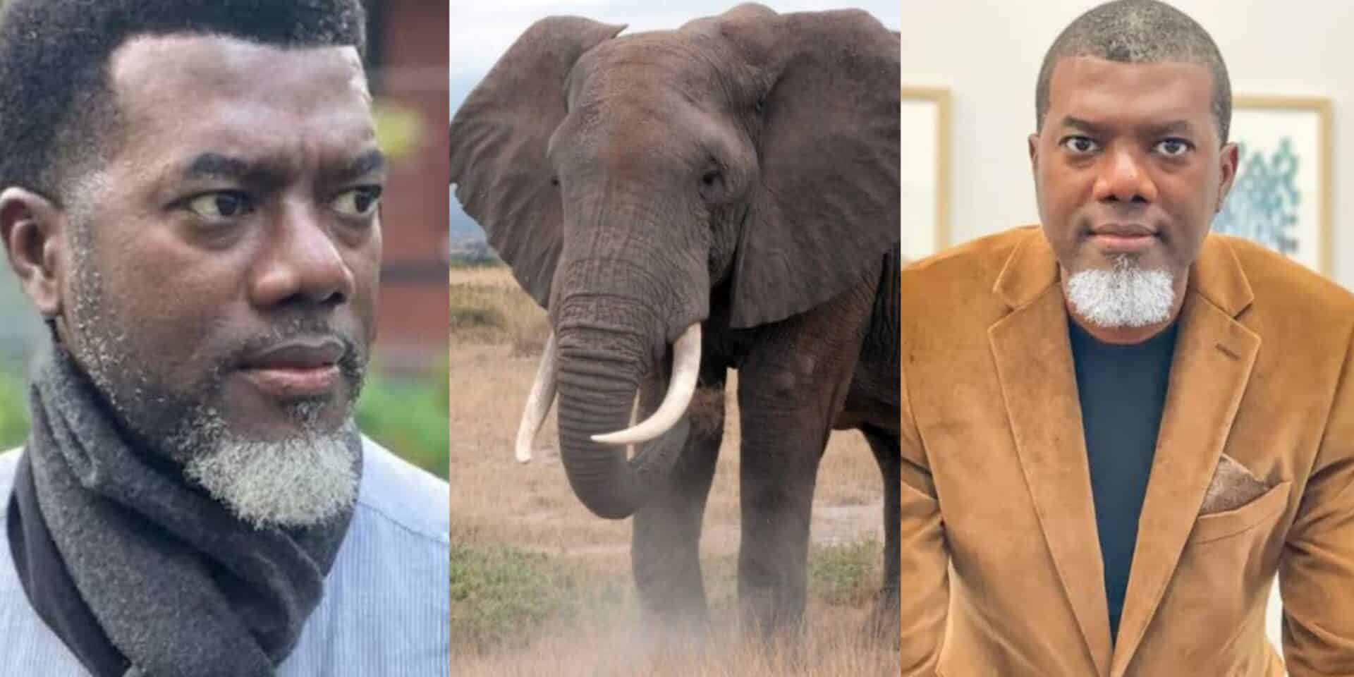 ‘Being chased by an Elephant was my scariest experience this year’ — Reno Omokri