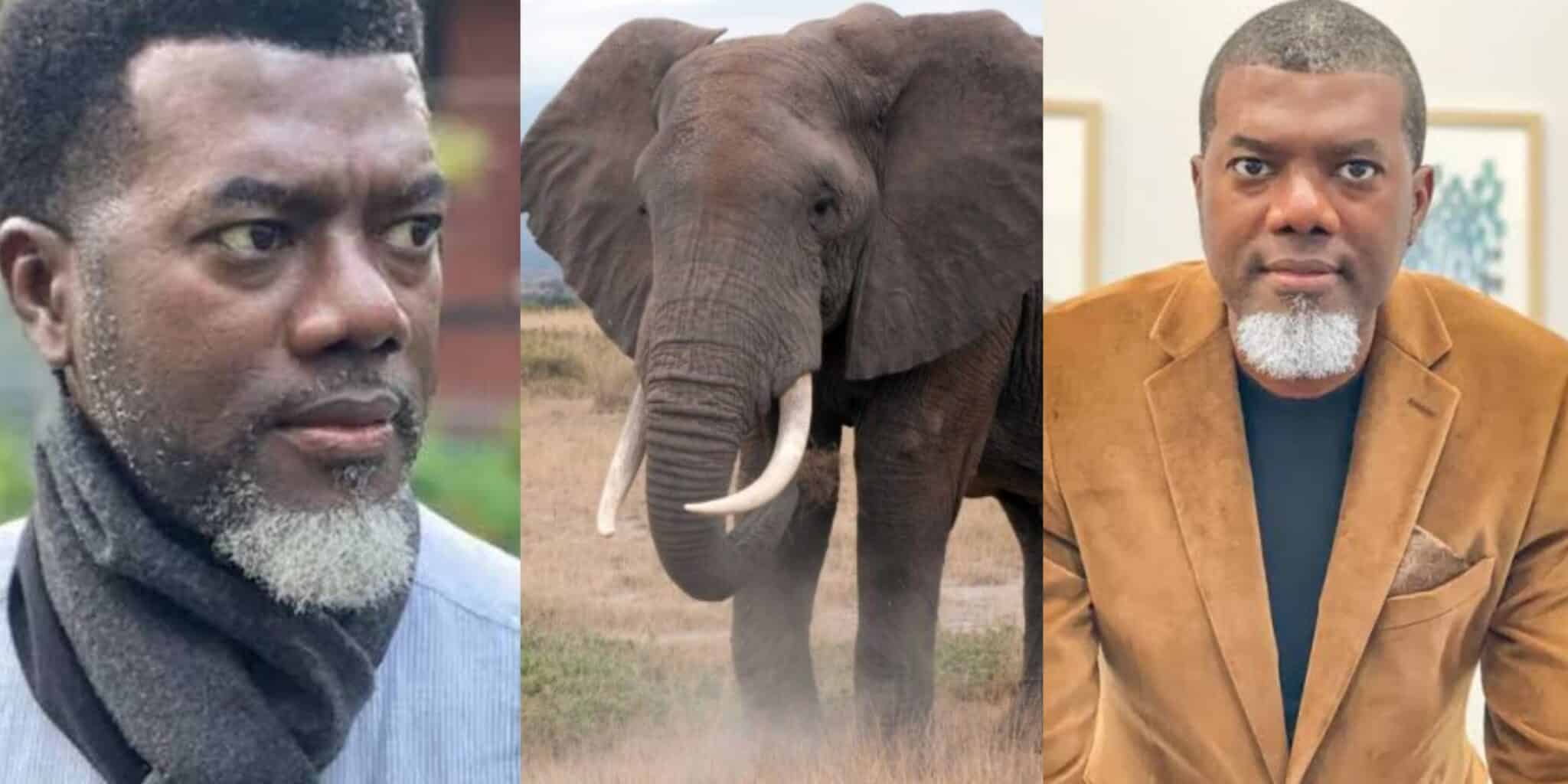 ‘Being chased by an Elephant was my scariest experience this year’ — Reno Omokri