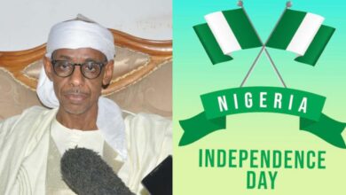 Nigeria @ 65: We are more divided, more insecure and less hopeful – Tinubu’s ex-aide