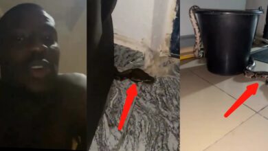Man sparks reactions after showing python kept as house guard