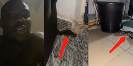 Man sparks reactions after showing python kept as house guard