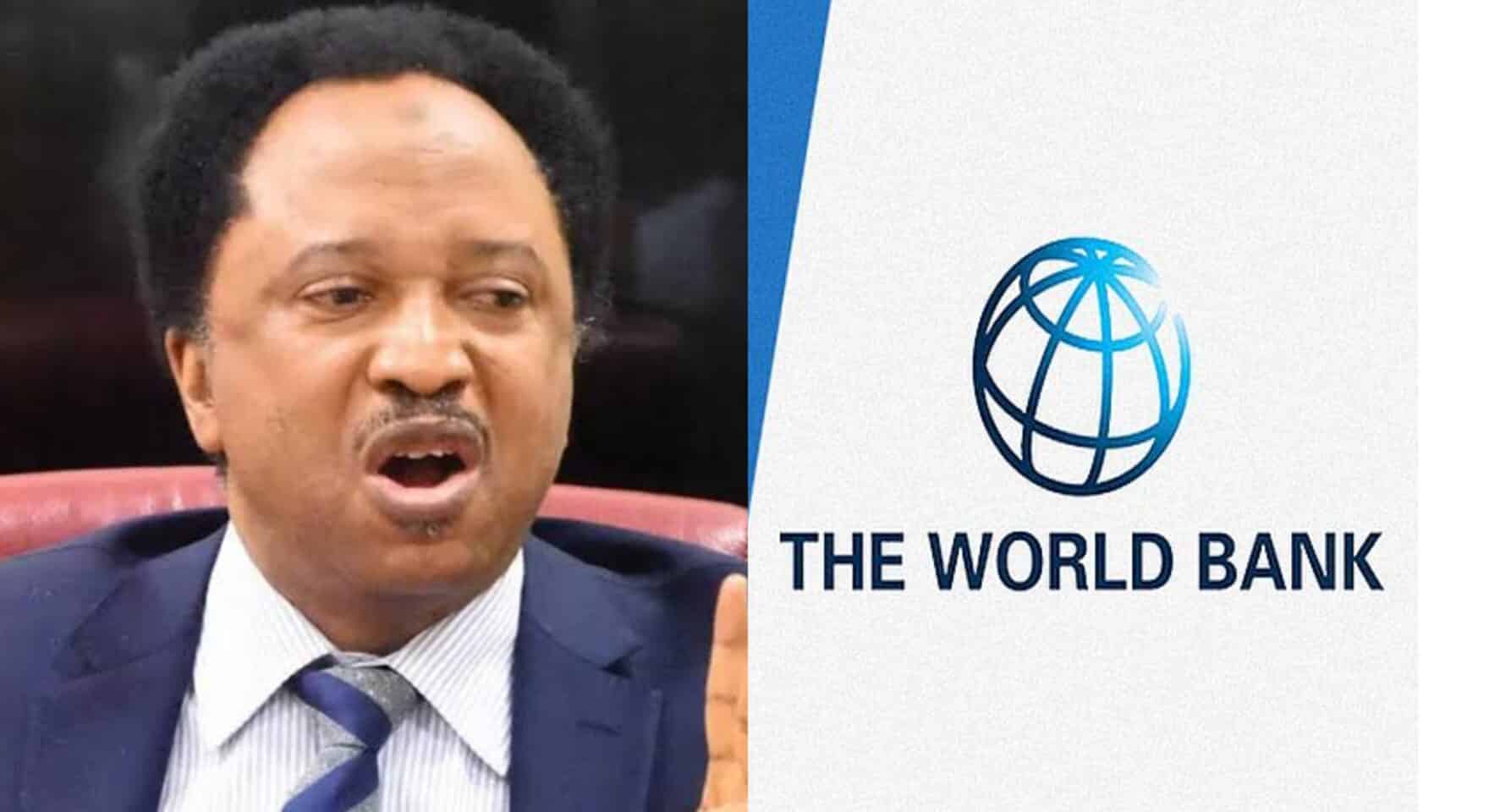 World Bank, IMF are Witches & Wizards – Ex-Senator slams global lenders over rising poverty