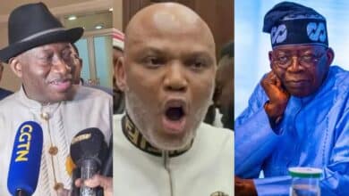 Ex-President Jonathan promises to meet Tinubu over Nnamdi Kanu’s release – Sowore