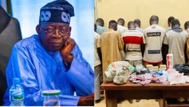 Reason Tinubu granted pardon to about 50 convicted drug dealers emerges