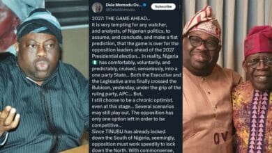 Opposition must unite, pick northern candidate, play ethnic and religious cards to defeat Tinubu – Momodu