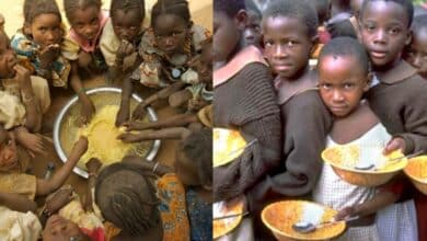 Food scarcity: Nigeria ranks 115th out of 123 countries facing severe hunger