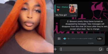 Fake life drama: Lady shares weird WhatsApp DM she received from stranger