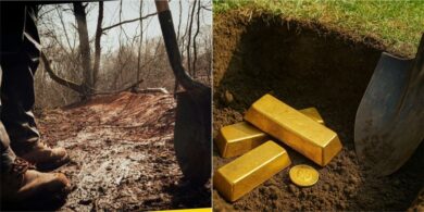 Man finds gold worth N1.1 billion while digging swimming pool in his backyard