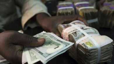 Naira to Dollar rate today, November 6, as exchange rates stabilise
