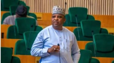 House of Reps member, Ali Damisa escapes death in Niger State