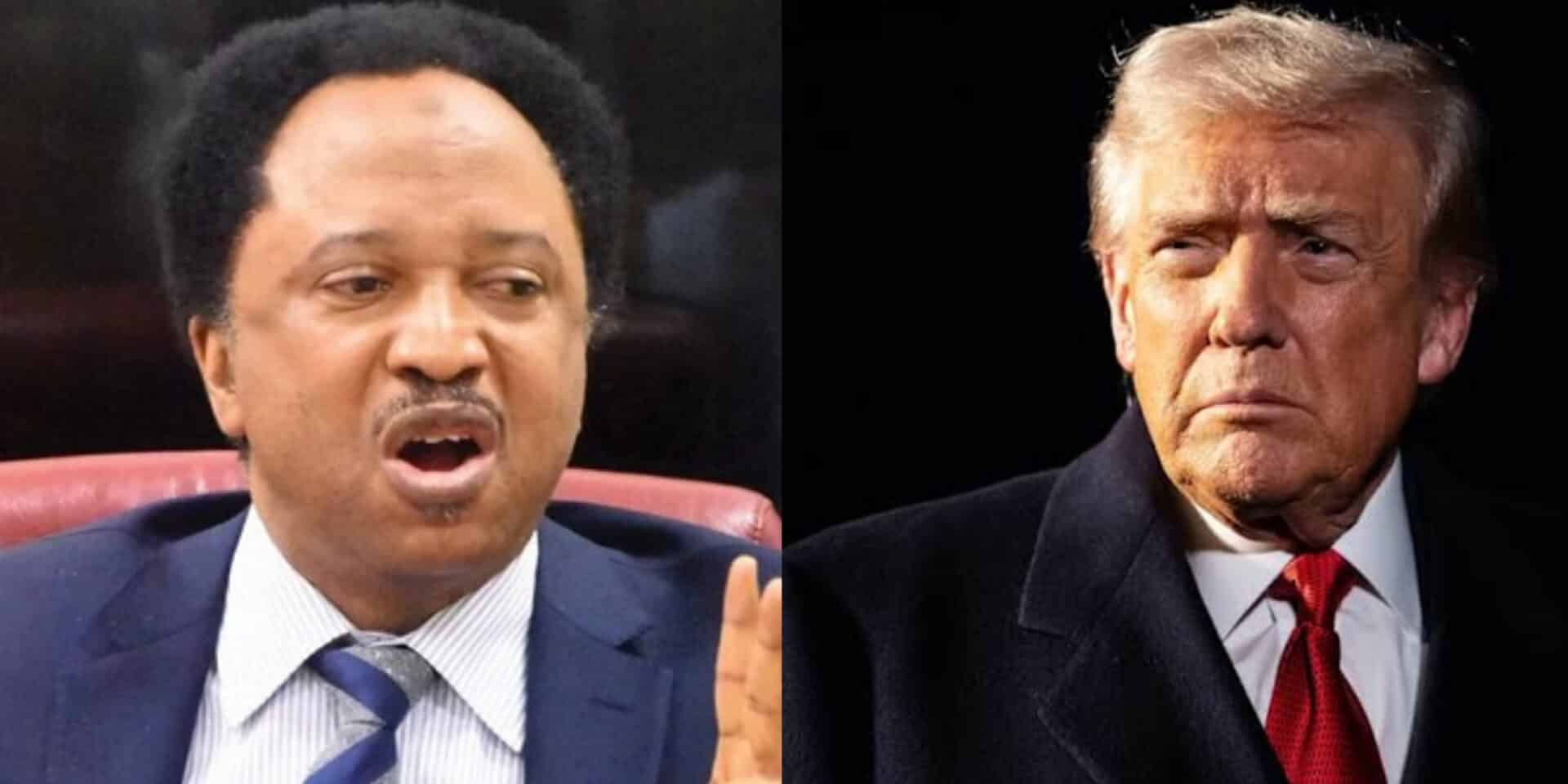 “Leave the US now or risk arrest” – Shehu Sani warns Nigerians amid visa revocations