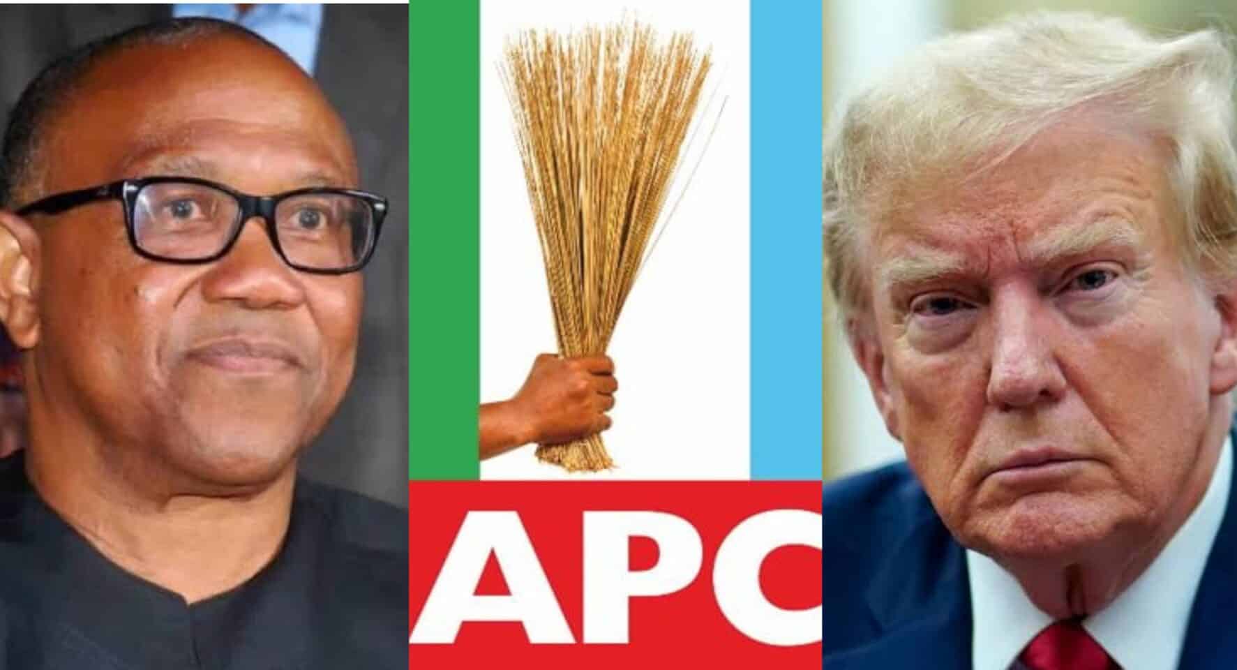 "Obi seems to celebrate when Nigeria faces challenges" - APC blasts Peter Obi over comment on Trump’s threat