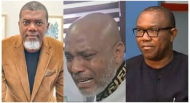 2027: If you vote for Peter Obi, you're voting for Nnamdi Kanu’s presidential pardon - Reno Omokri