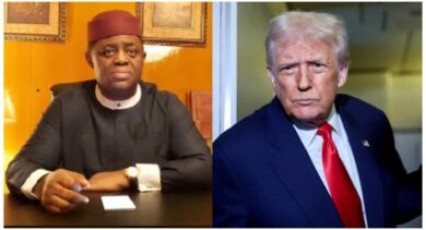 Fani-Kayode blasts Donald Trump as Tinubu’s govt rescue 24 Kebbi female students
