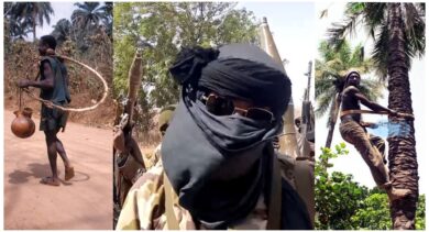 Terrorists kidnap 2 palm-wine tappers, kill 1 after family offers N10,000 ransom